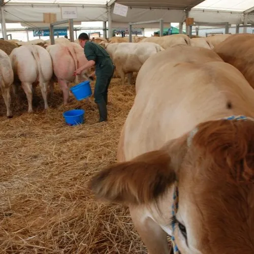 JOURNAL DU JEUDI 18 MARS (MATIN)